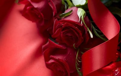 красные розы, романтические цветы, романтический фон, червоні троянди, романтичні квіти, романтичний фон