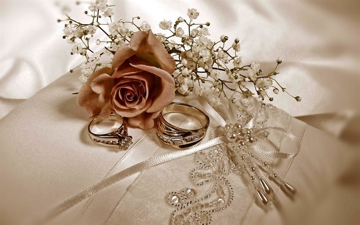 Весілля, обручки, кольца, шелк, свадьба
