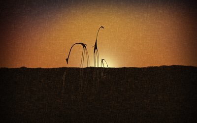 style, sunset, стиль, жирафы, giraffes, закат, vladsudio, silhouettes, силуэты, полотно, canvas