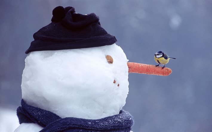 зима, снеговик, нос, морковь, птица, синица