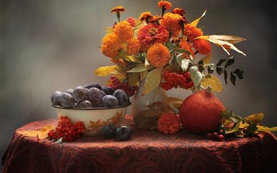 натюрморт, стол, скатерть, миска, плоды, фрукты, сливы, тыква, ваза, листья, цветы, бархатцы, циния, рябина