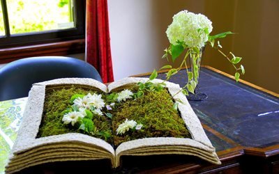 стол, книга, ваза, цветы, мох, окно