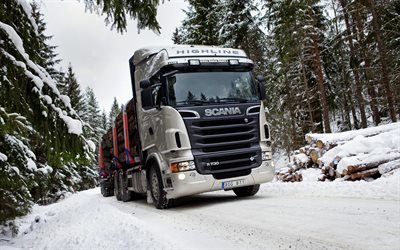 Скания Р720, SCANIA R720, лесовоз, перевозка деревьев