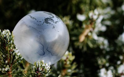 природа, зима, ветки, ёлка, шар, пузырь, мыло, мороз, иней
