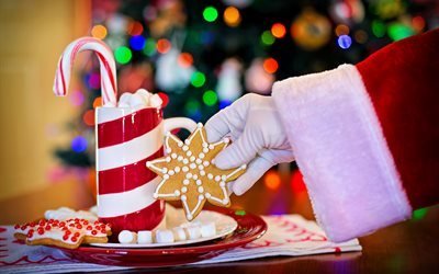 звезда, санта клаус, новый год, боке, ёлка, рождество, напиток, печенье, рука, конфеты, праздник, кружка, дед мороз