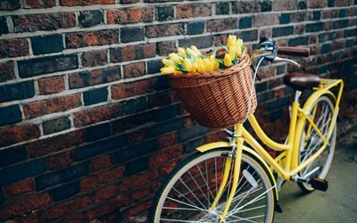 стена, кирпичи, велосипед, корзина, цветы, тюльпаны