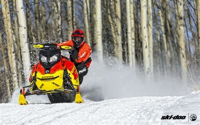 снегоход, активный отдых, снег, зима, Ski-Doo Renegade, XRS 800, 2015