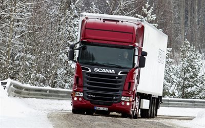 Scania, R730, трейлер, грузоперевозки, фура