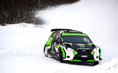 ралли, зима, снег, Форд, Ford, Fiesta, Rally, WRC, Yazeed Al Rajh