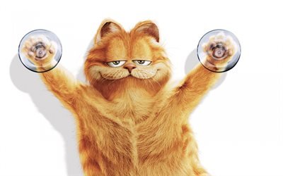 Garfield, рыжий кот, Гарфилд