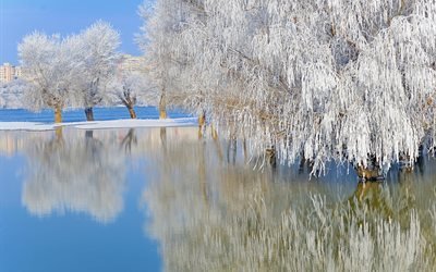 природа, пейзаж, деревья, зима, вода, иней, дома