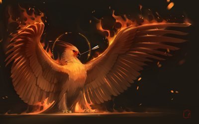 фэникс, огненная птица, 4k, phoenix