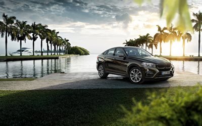 BMW X6, 2016, БМВ X6, кроссоверы 2016