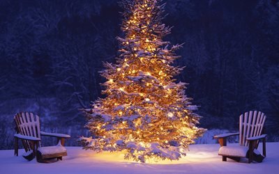 зима, праздник, рождество, новый год, огни, вечер, скамейки, снег, ель, ёлка, свет