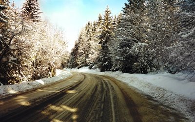 обледенелая дорога, зима, снег, заснеженный лес, гололёд, обмерзла дорога, сніг, засніжений ліс, ожеледь