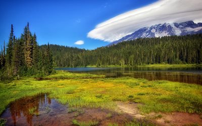 горы, озеро, лес, горный пейзаж, весна, США, Mount Rainier National Park