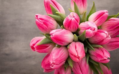 рожеві тюльпани, весна, весняні квіти, тюльпани, букет тюльпанів, розовые тюльпаны, весенние цветы
