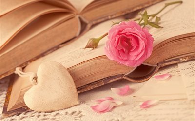 книги, листы, бумага, цветок, роза, лепестки, сердце, сердечко
