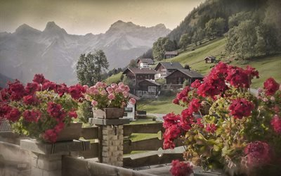 природа, пейзаж, деревня, Австрия, горы, Тироль, дома, Альпы, цветы