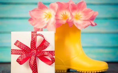 подарок, коробка, сапог, цветы, тюльпаны, праздник, 8 марта, доски
