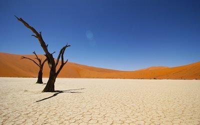 Намиб, пустыня, Африка, 4к, песок, песчаные дюны