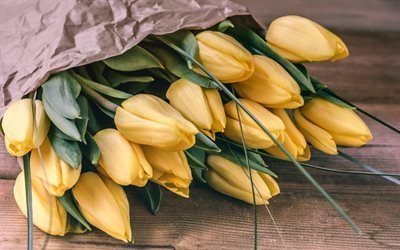 желтые тюльпаны, букет цветов, тюльпаны, весна, весенние цветы