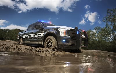 Форд Ф-150, оффроад, полицейский автомобиль, 2017, 4к, пикапы, грязь, Форд
