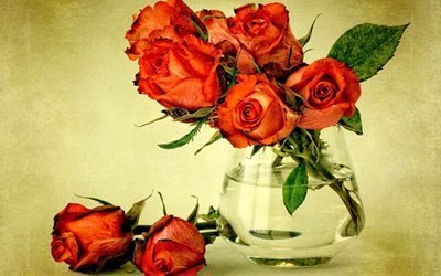 ваза, цветы, розы, букет