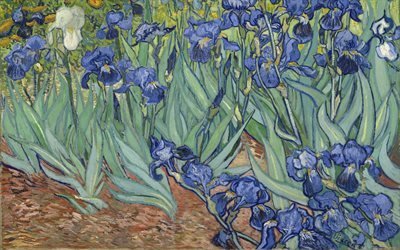 Винсент ван Гог, Vincent van Gogh, нидерландский художник-постимпрессионист, Irises, Ирисы, 1889, холст, масло
