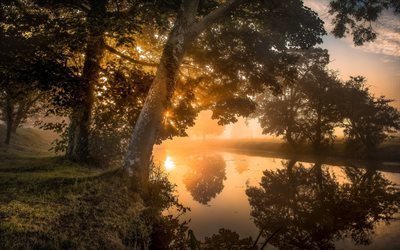 Осень, Рассвет, Река, Туман, Деревья, Sanrise, Autumn, Northamptonshire, England