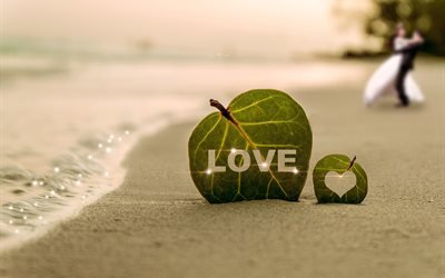 побережье, берег, волна, песок, листья, сердце, LOVE, пара