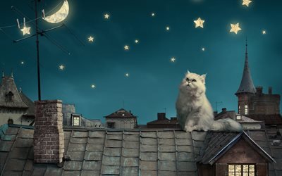 Крыша, Кошка, Ночь, Луна